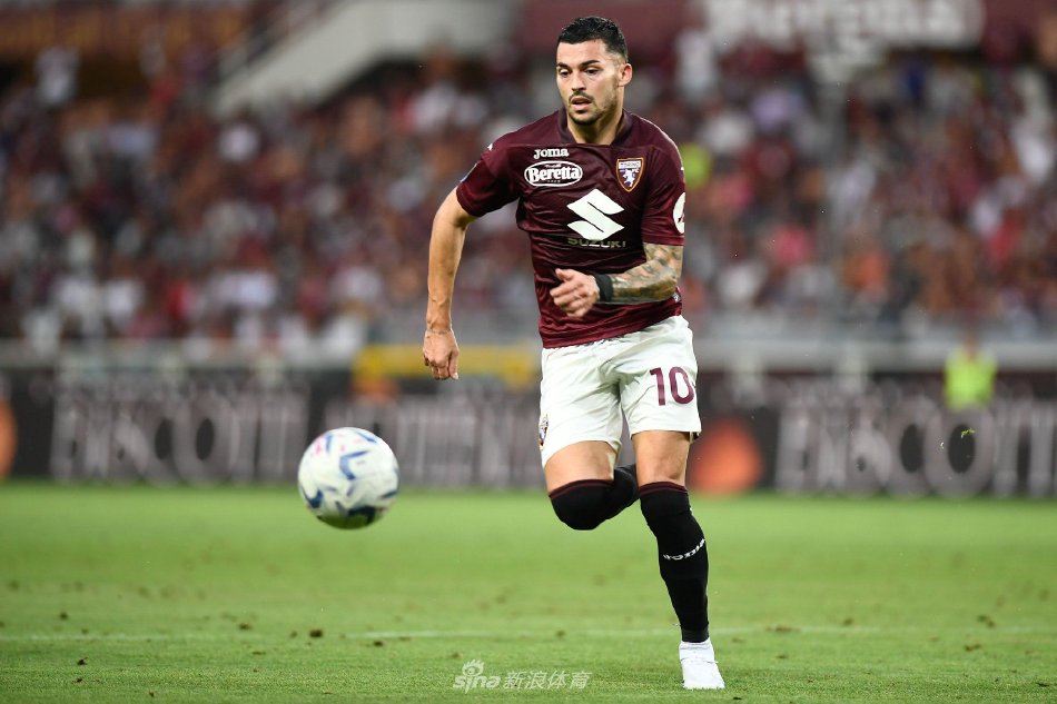 的替补安排 的替补安排